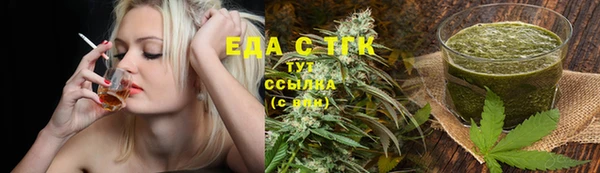 дживик Бородино