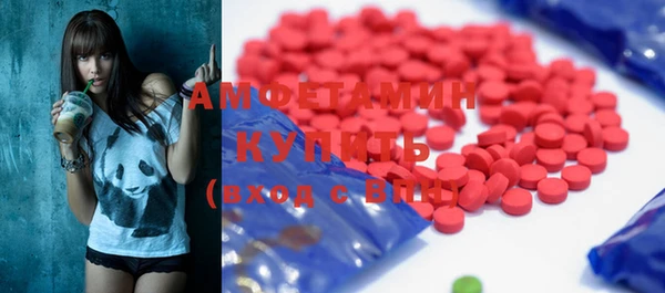 индика Богородск