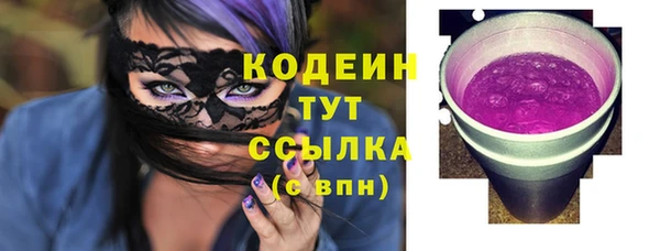 индика Богородск