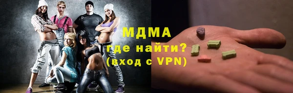 индика Богородск