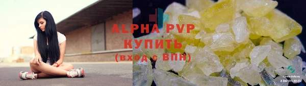 индика Богородск
