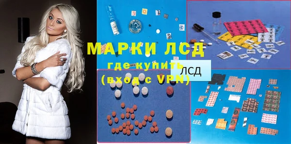 дживик Бородино
