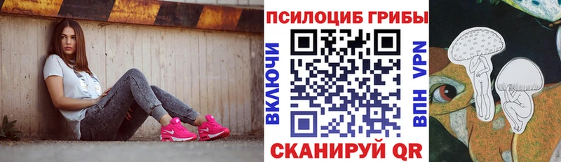 Псилоцибиновые грибы GOLDEN TEACHER Котельниково